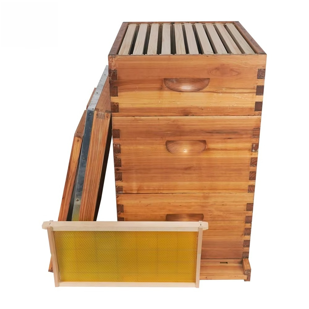 Complete 3-layer wax-soaked be - Beehive Frame Wax ulasan dan harga