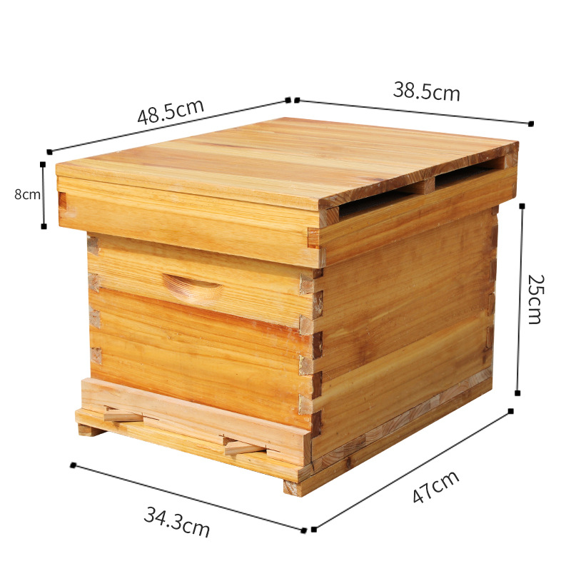 Bee beehive Full set of beekee - Beehive Frame Wax ulasan dan harga