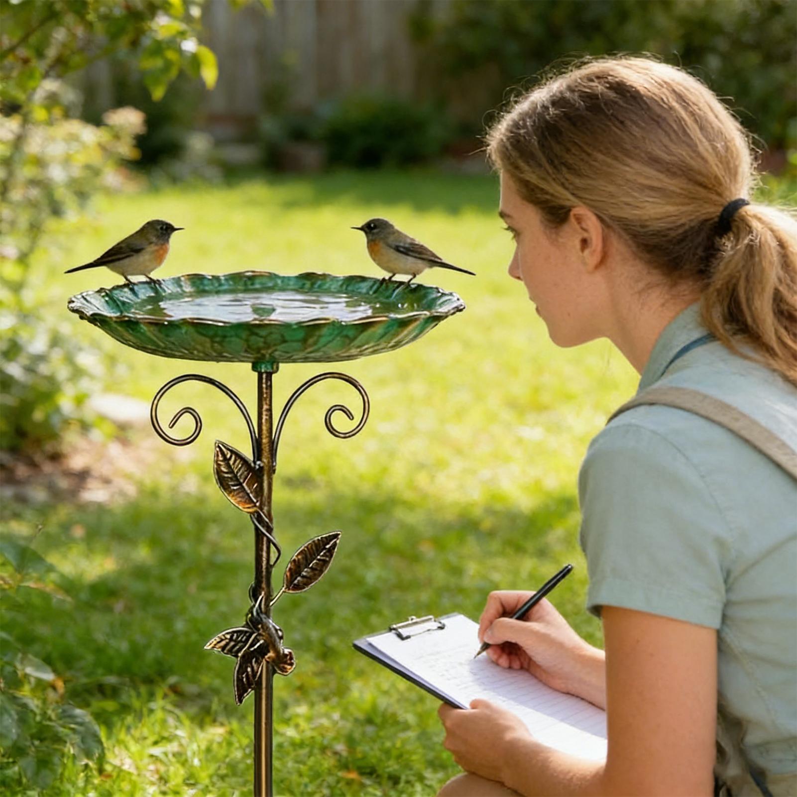 Bird Baths for Outdoors 30 inc - Farming And Agriculture ulasan dan harga