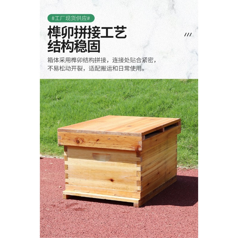 Fir Wood 10-Frame Beehive Box  - Beehive Frame Wax ulasan dan harga