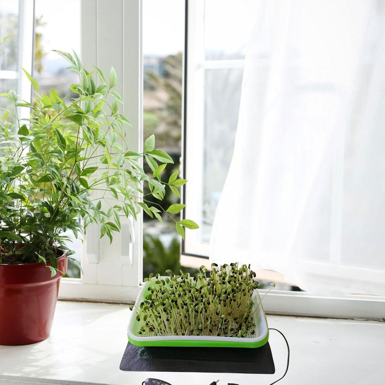 Hydroponic Heat Mat for Seedli - Seedling Heat Mat ulasan dan harga